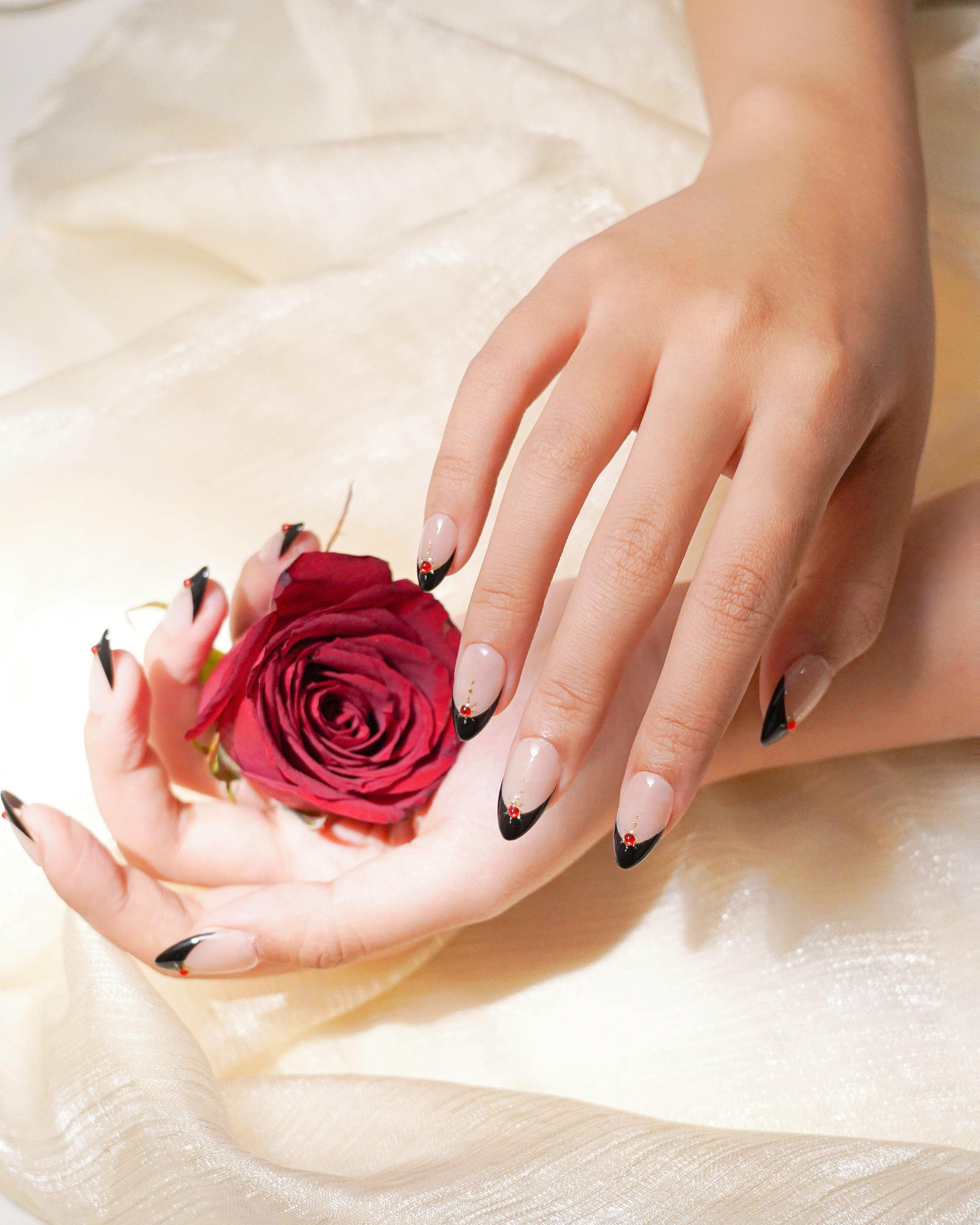 Midnight Elegance